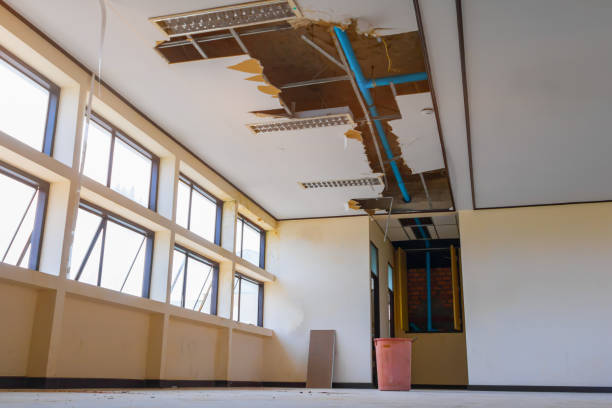 Best Professional water damage repair  in Stockbridge, GA