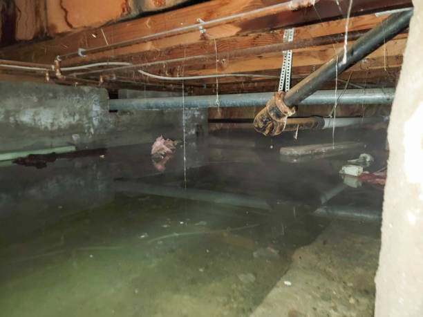 Best Water damage restoration experts  in Stockbridge, GA