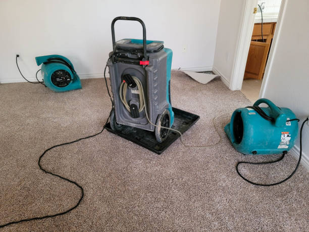 Best Fire Damage Restoration  in Stockbridge, GA