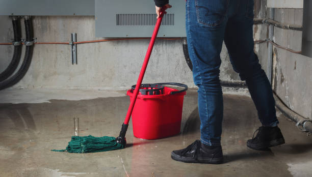 Best Carpet water damage restoration  in Stockbridge, GA