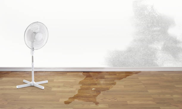 Best Water damage contractors near me  in Stockbridge, GA