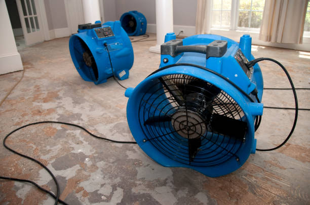 Best Flood restoration services  in Stockbridge, GA
