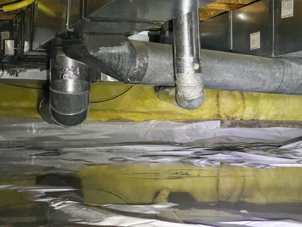 Best Ceiling water damage repair  in Stockbridge, GA