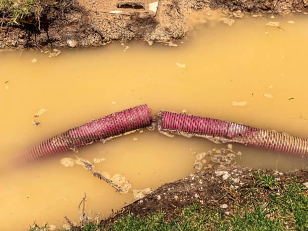 Best Professional water damage repair  in Stockbridge, GA