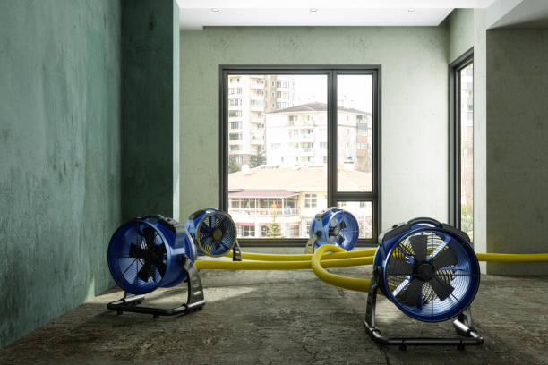 Best Residential water damage restoration  in Stockbridge, GA